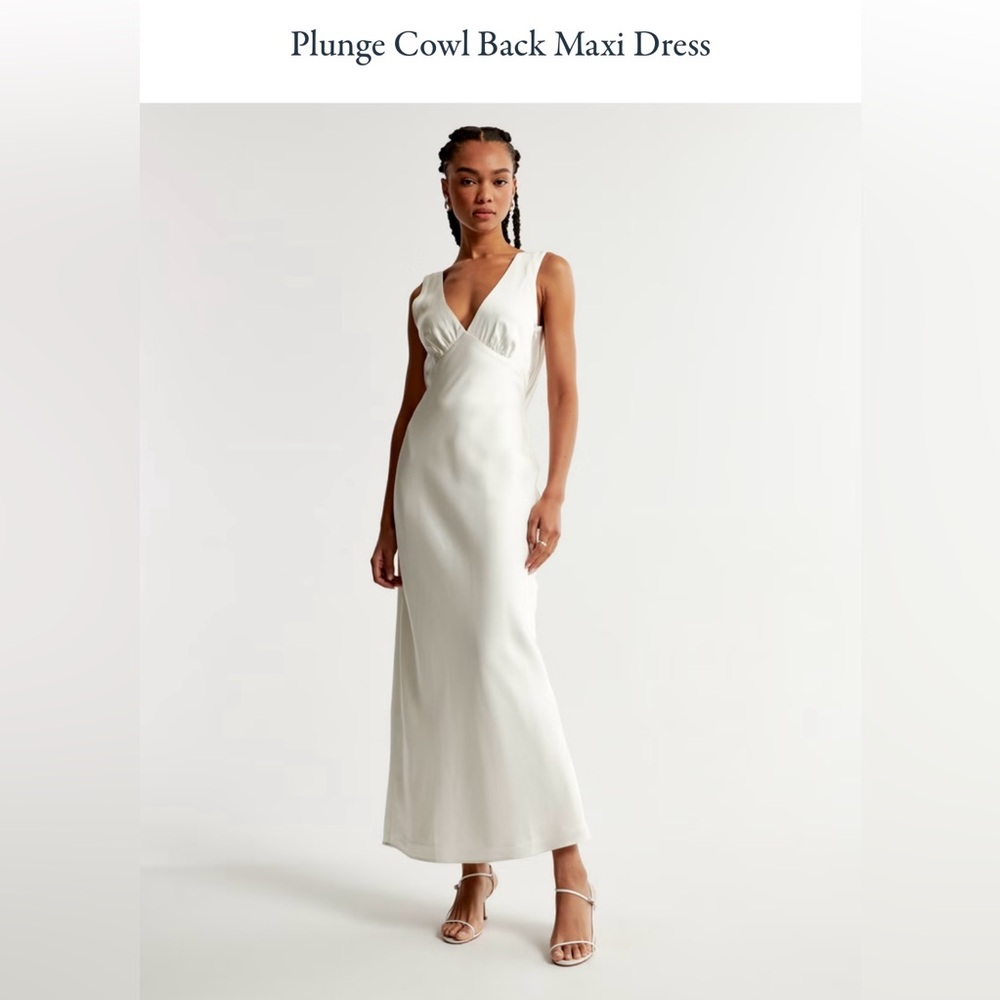 Abercrombie Plunge Cowl Back Maxi Dress